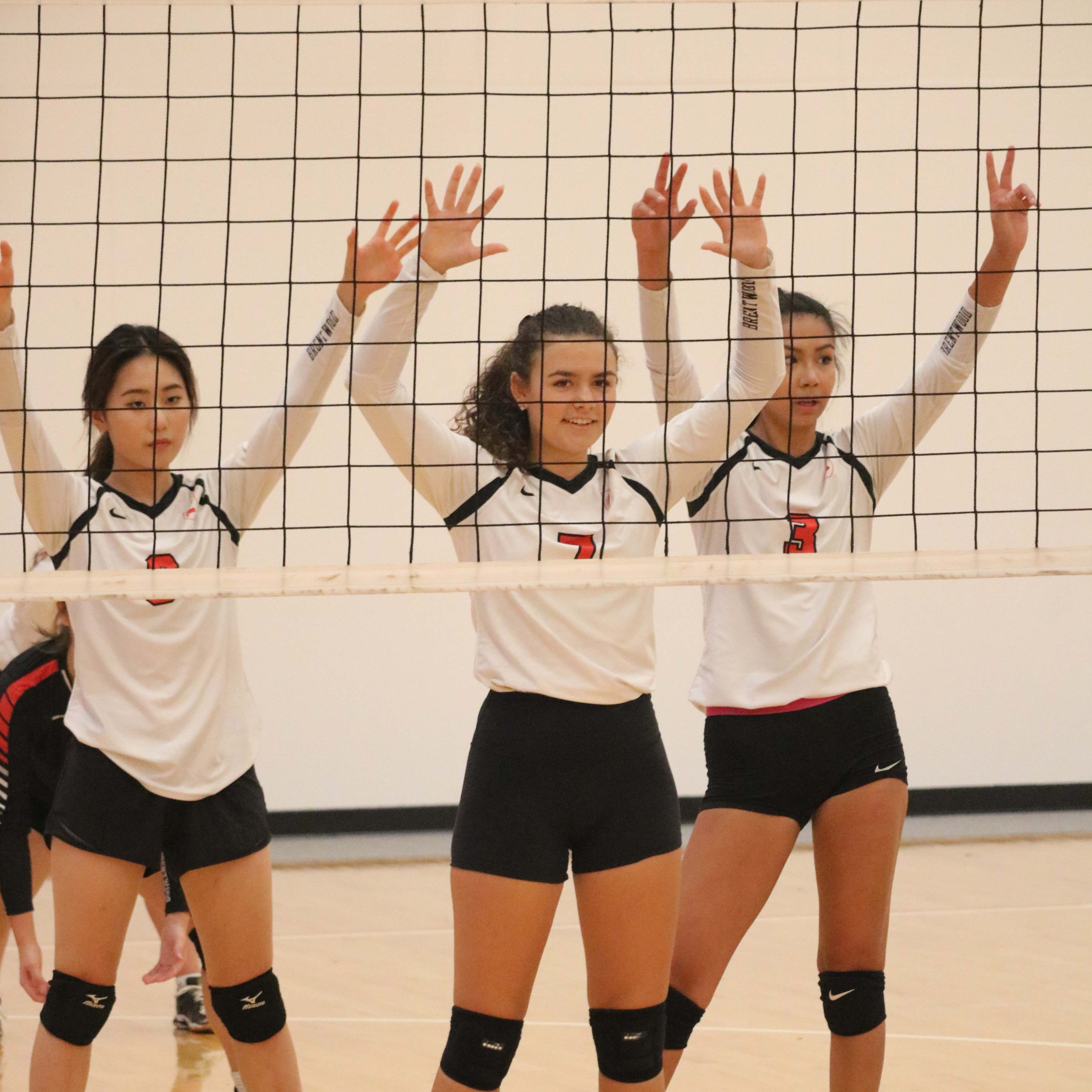 Volleyballin’