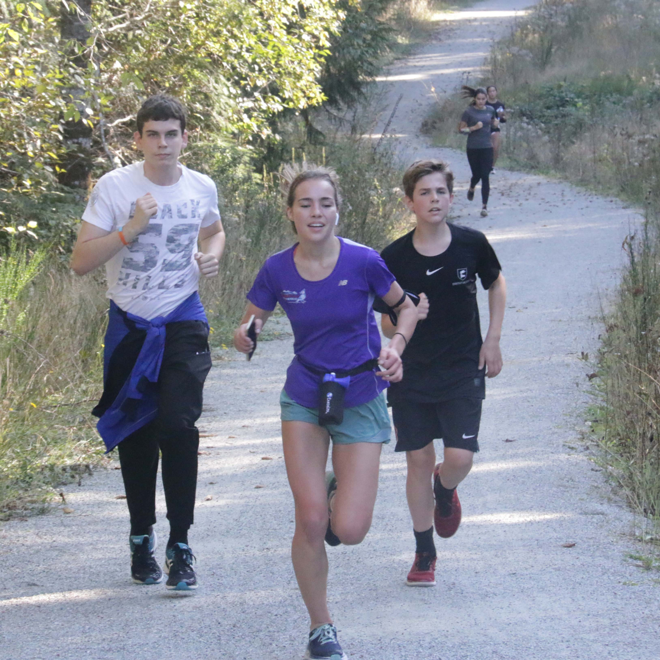 Cross Country – Not Cross at All