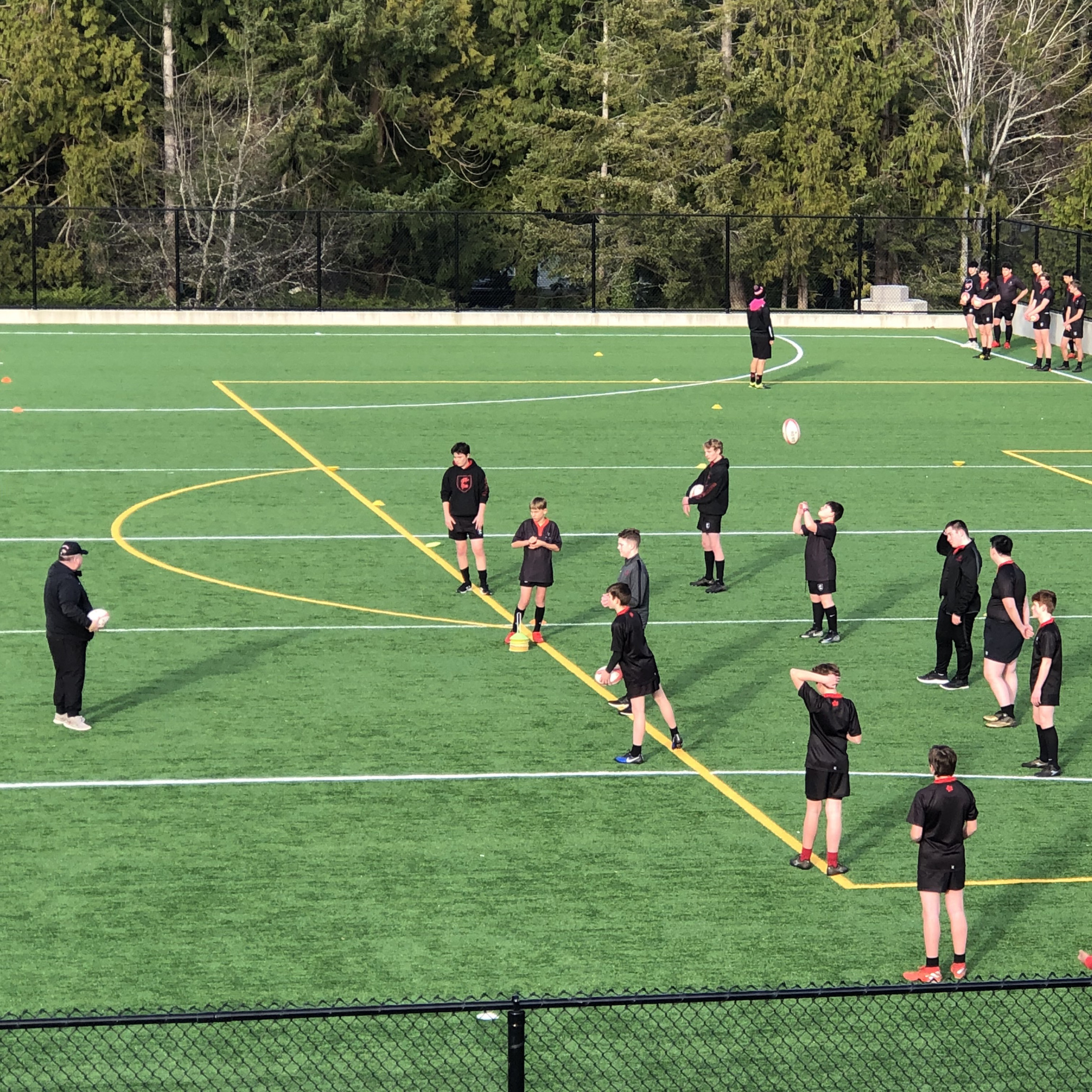 The Brentwood Turf