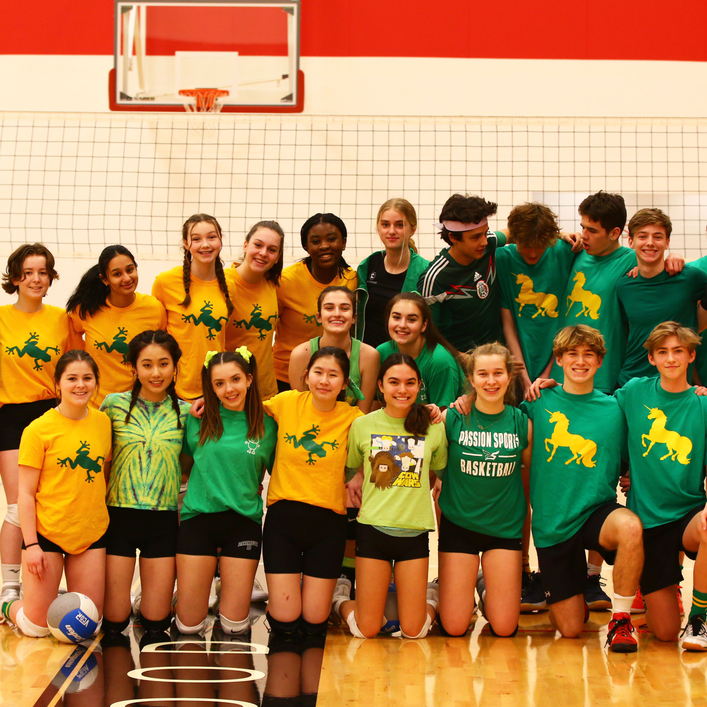 Interhouse Volleyball 1