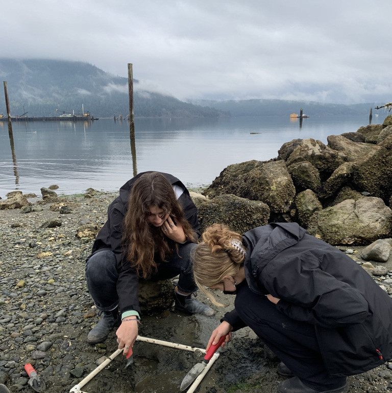 AP Environmental Science Visits the Cowichan Bay Estuary