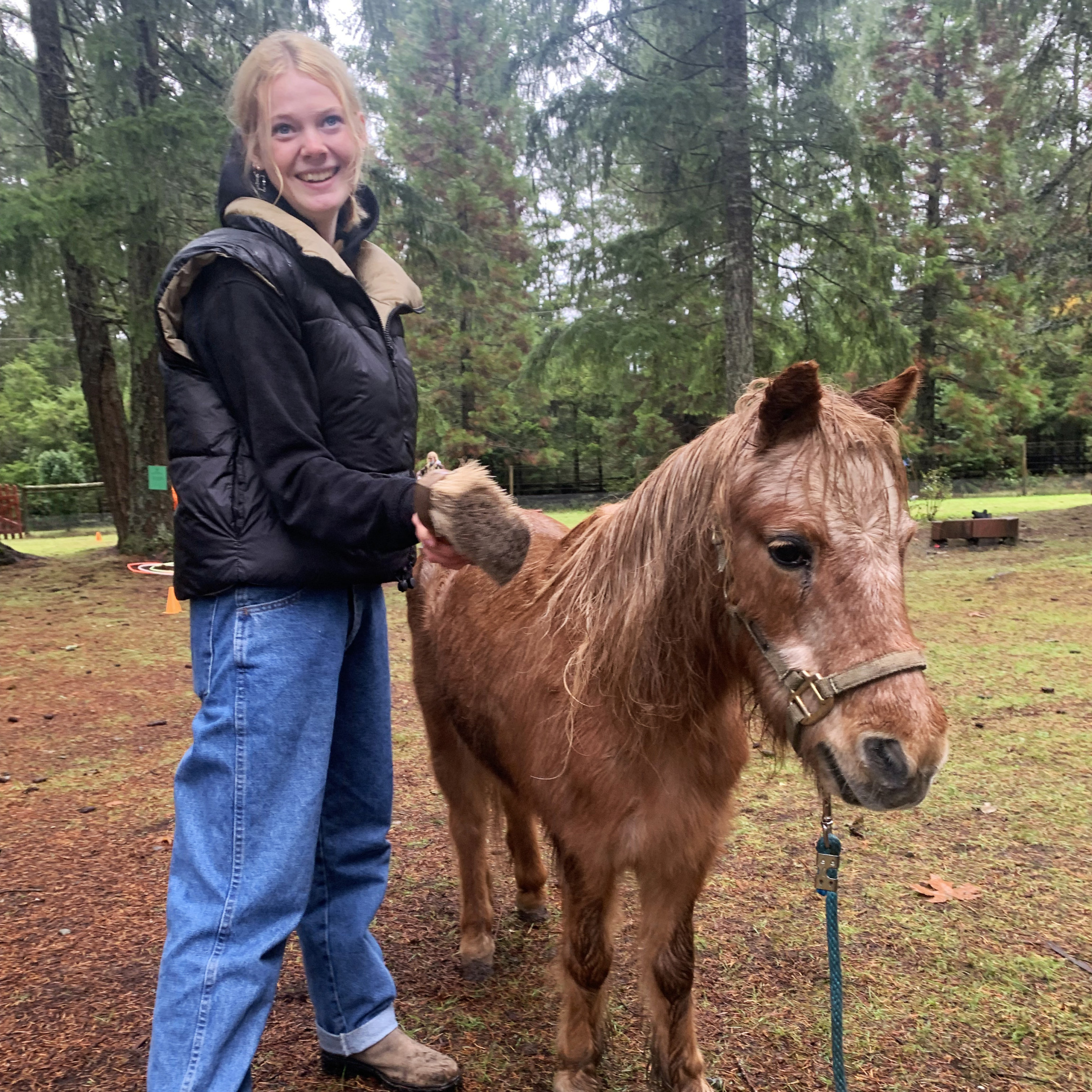 Horsing Around at the Wellness Conference