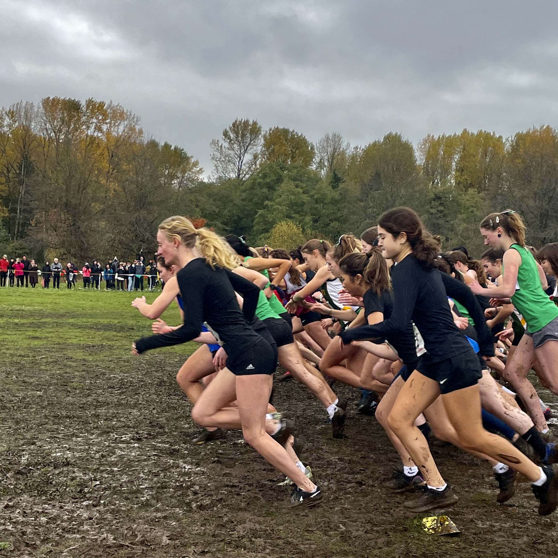 Strong Showing at Cross Country Provincials