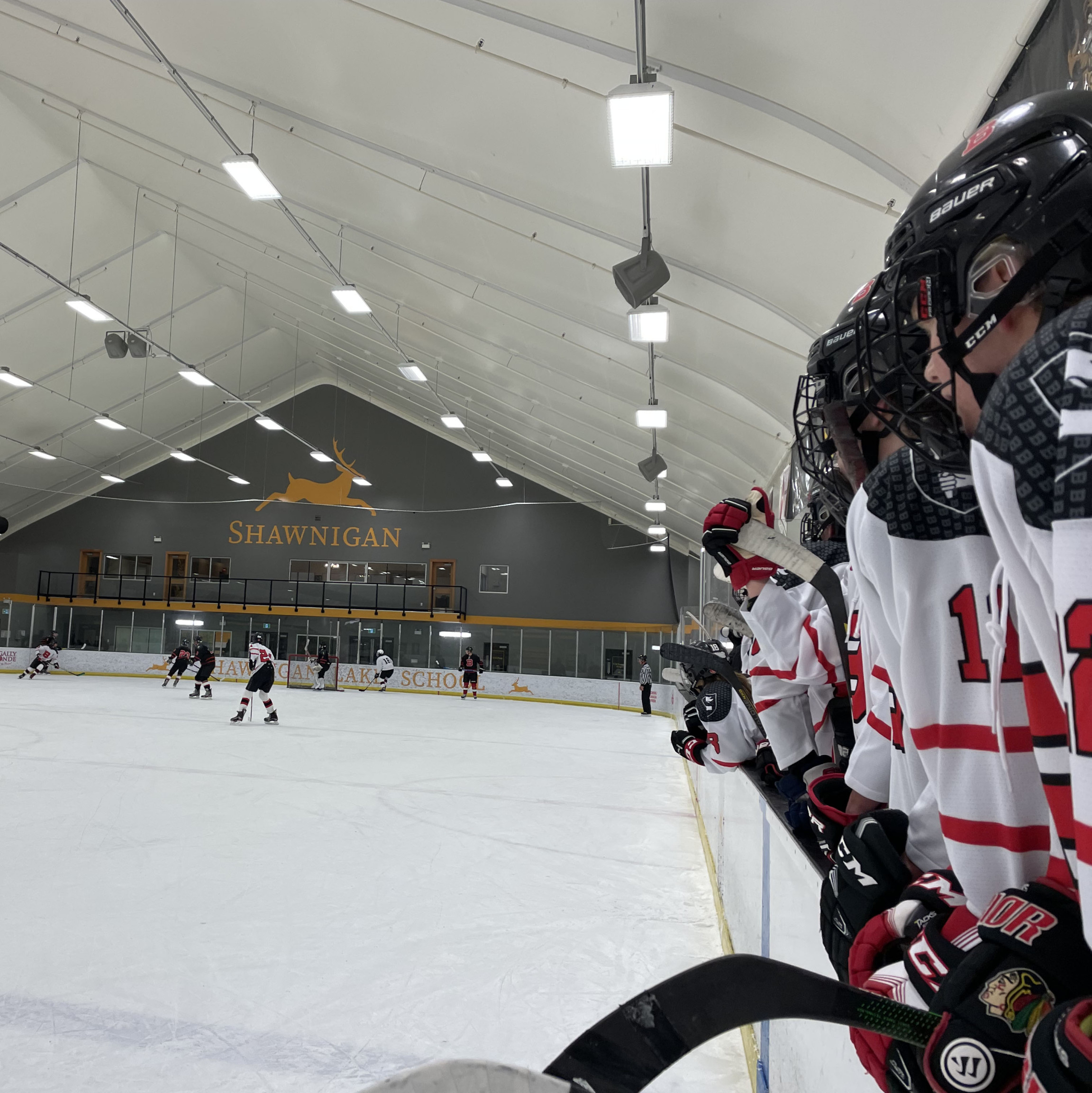 Student vs. Staff/Alumni Hockey