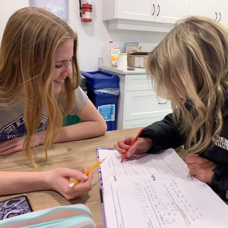 Passing The Knowledge Torch : Peer Tutoring At Brentwood