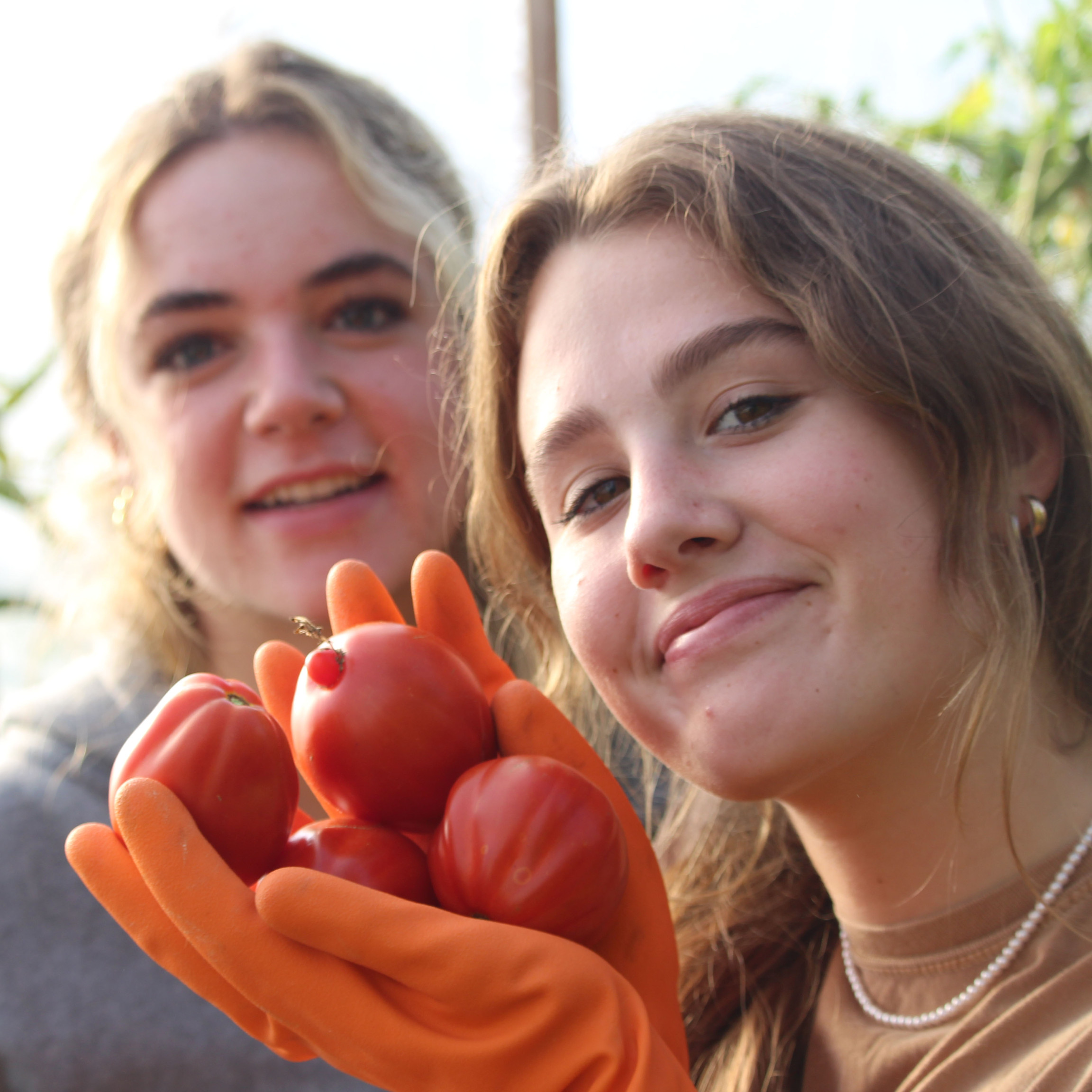 Brentwood Exercises Environmental Advocacy