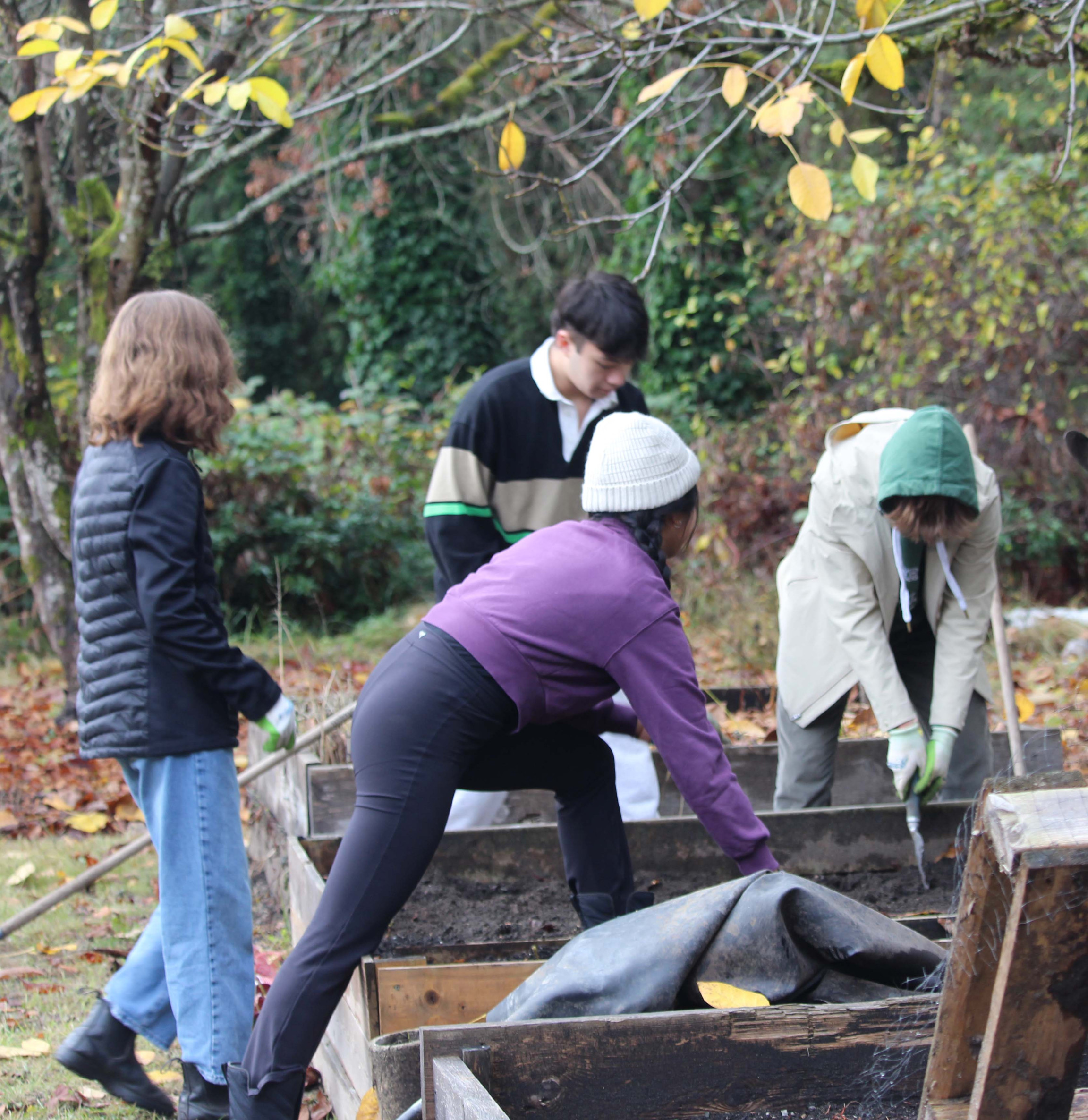 Seeds of Change: Reviving the Brentwood Garden
