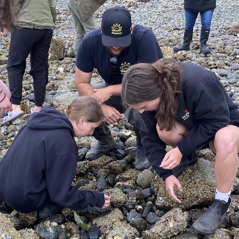 Clam Garden Restoration Project