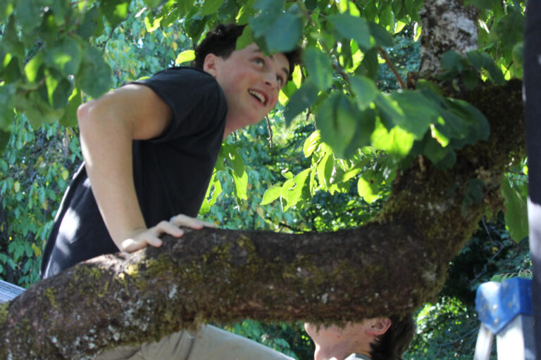 The Brentwood Orchard