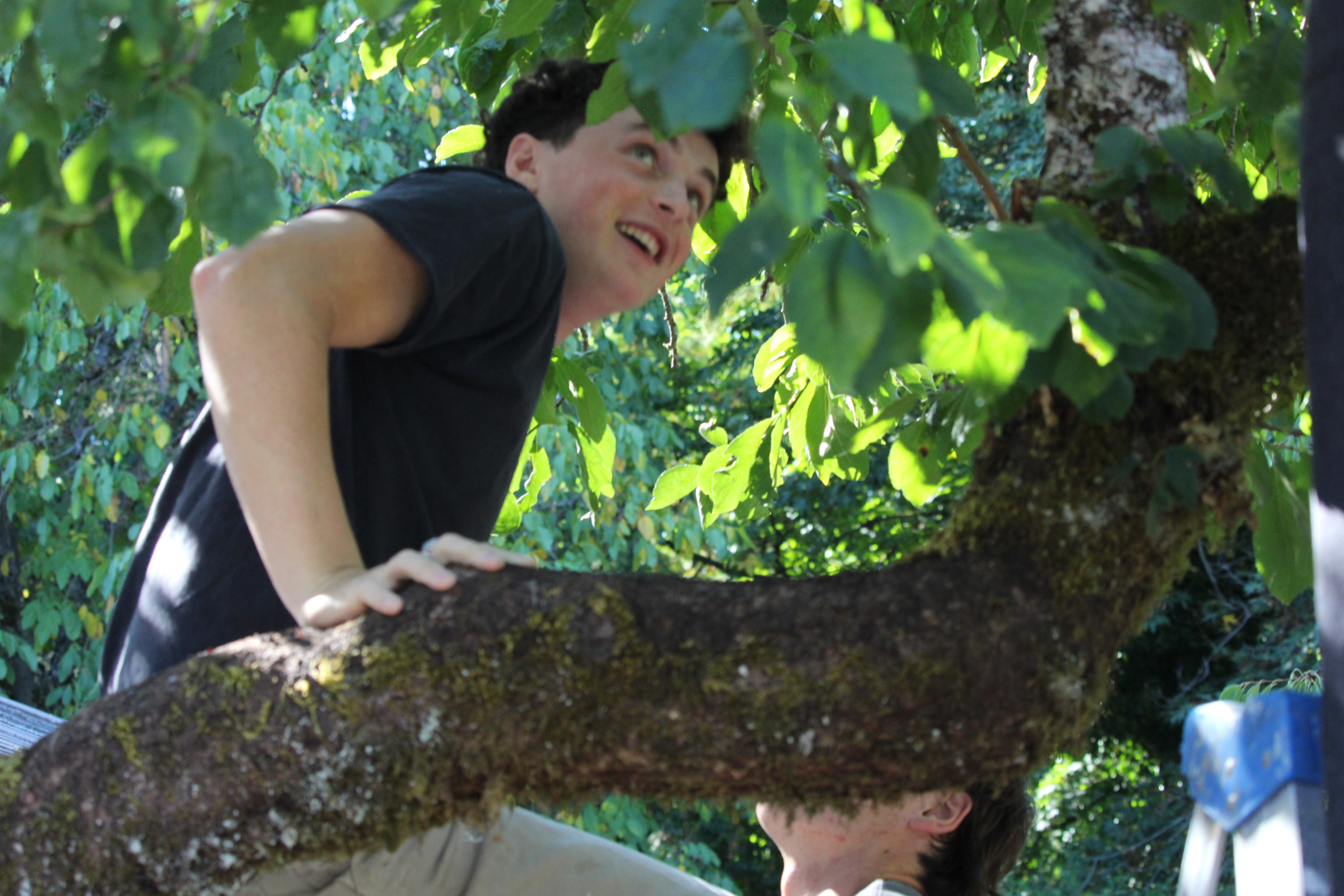 The Brentwood Orchard