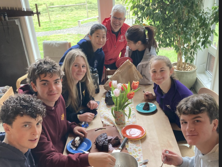 A Trip to A Wilder Market