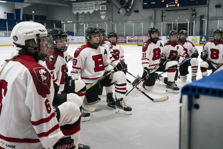 Girls' Ice Hockey Summary