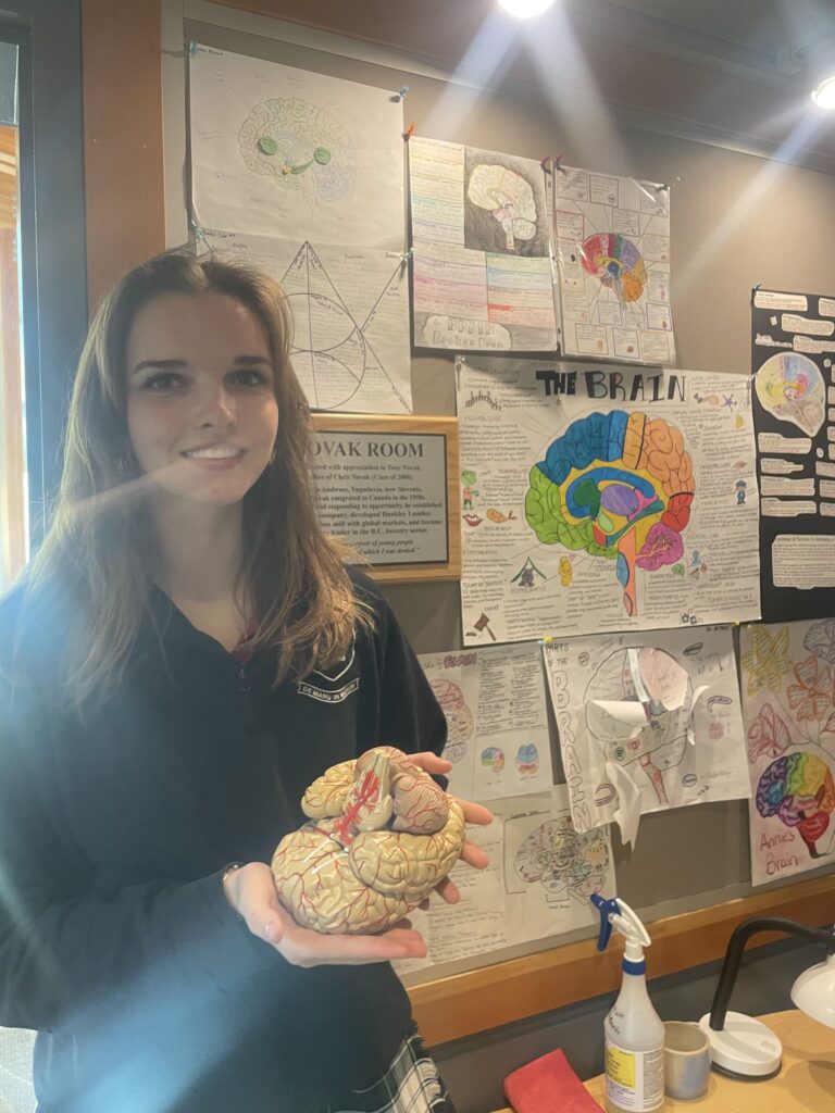 Unlocking the Mind: The Power of AP Psychology