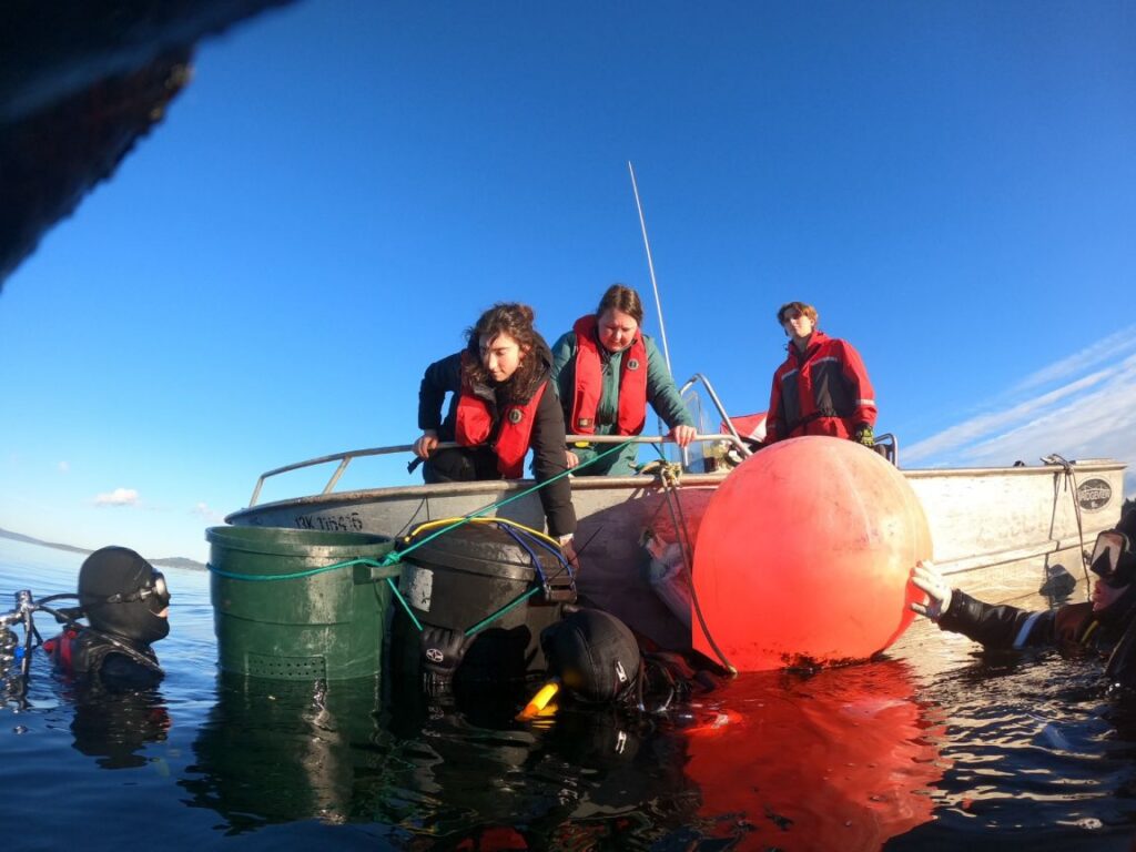 Rockfish Rehab - In Garbage Cans Beneath the Regatta Course