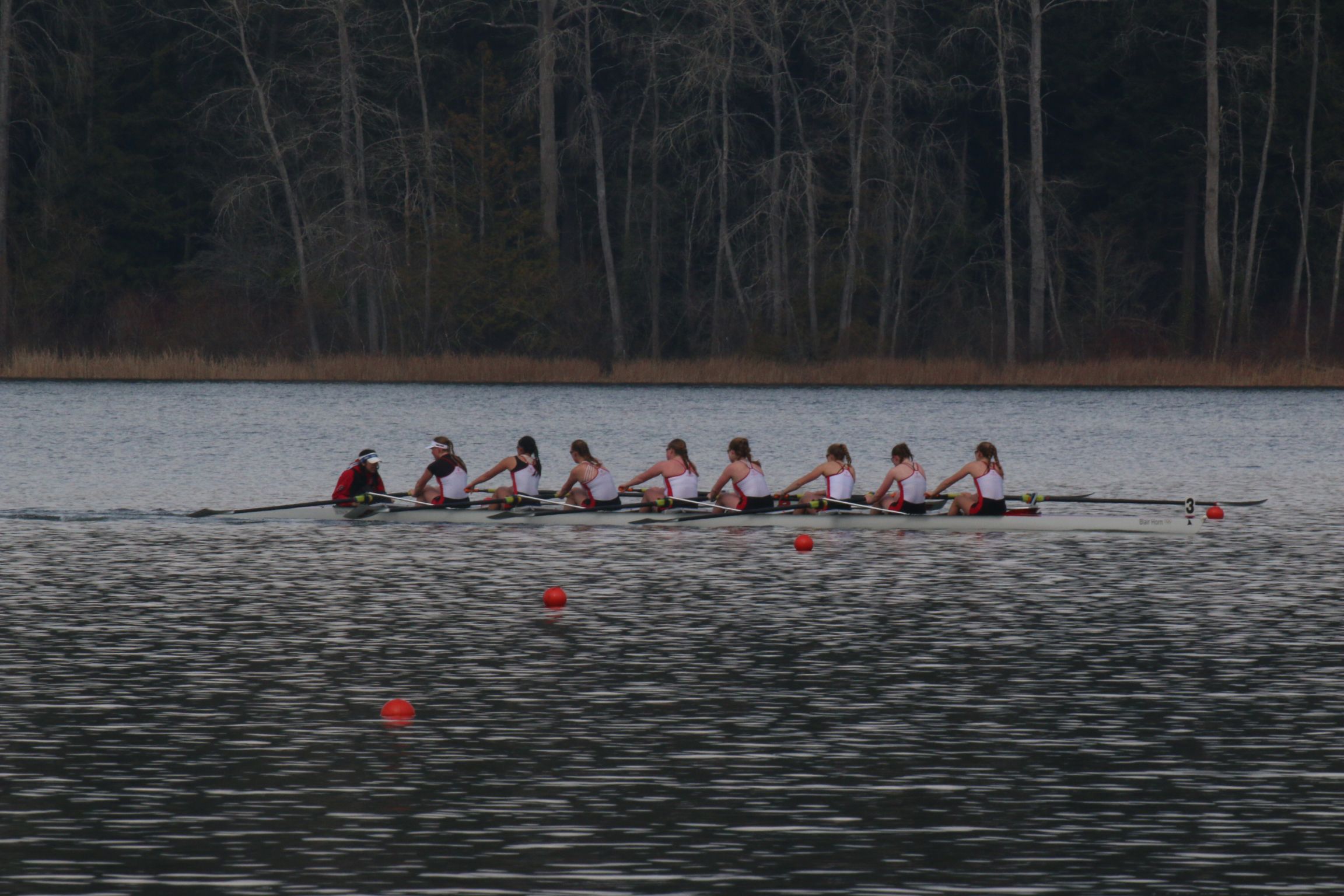 Brentwood’s Row, Elk Lake’s Flow