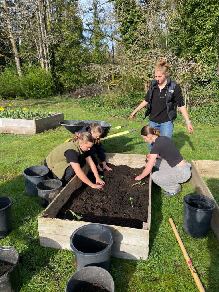 Planting & Pulling in Service