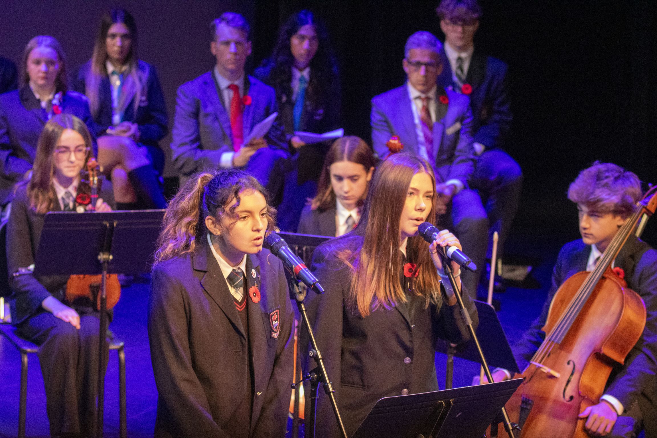 Lest We Forget: Remembrance Day