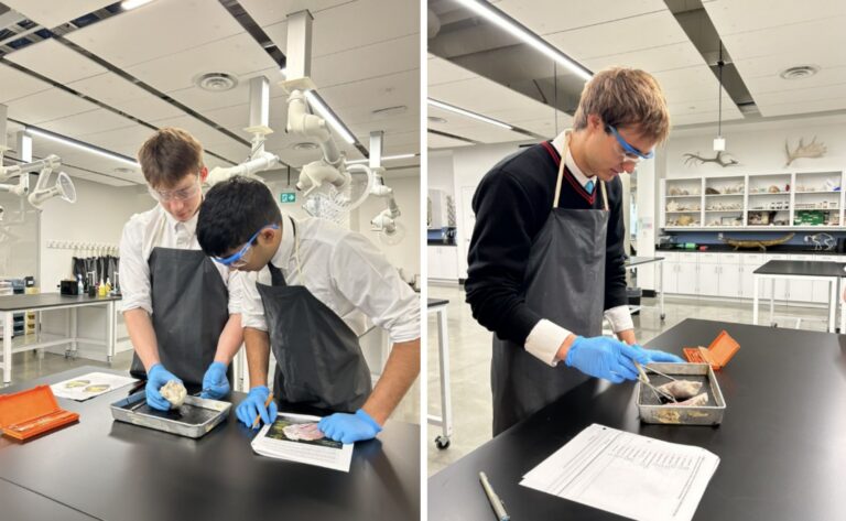A Heartstopping AP Biology Lab