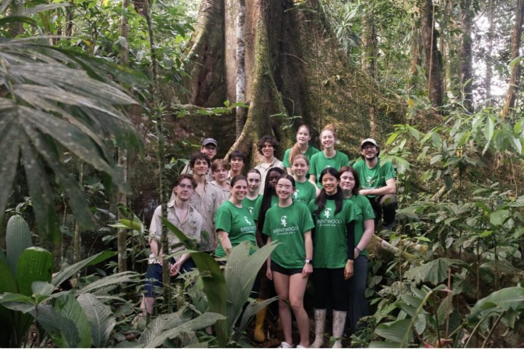 Where The Wild Things Are: The Amazon Experience