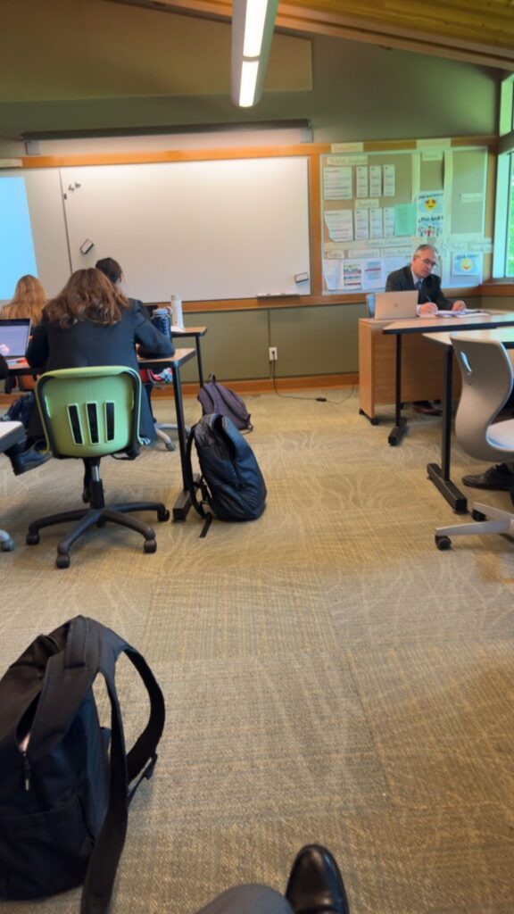 Mastering the Exam and Beyond: Our AP French Journey