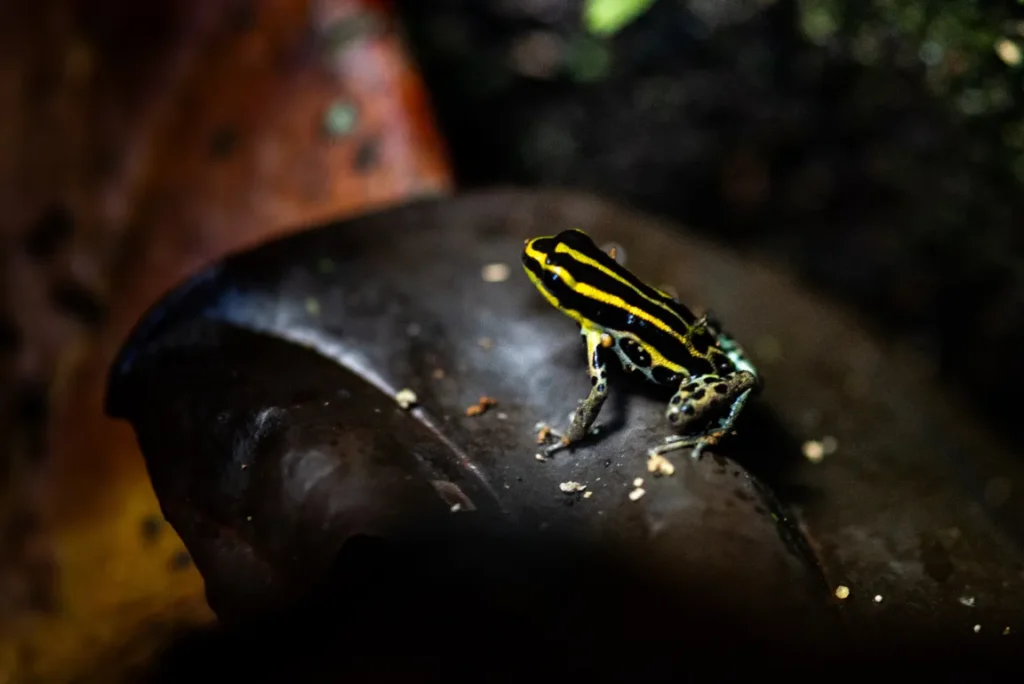 A photo from a Brentwood student trip