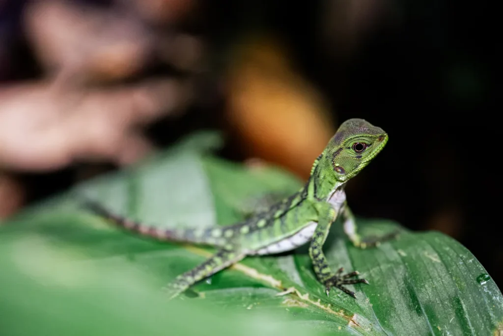 A photo from a Brentwood student trip