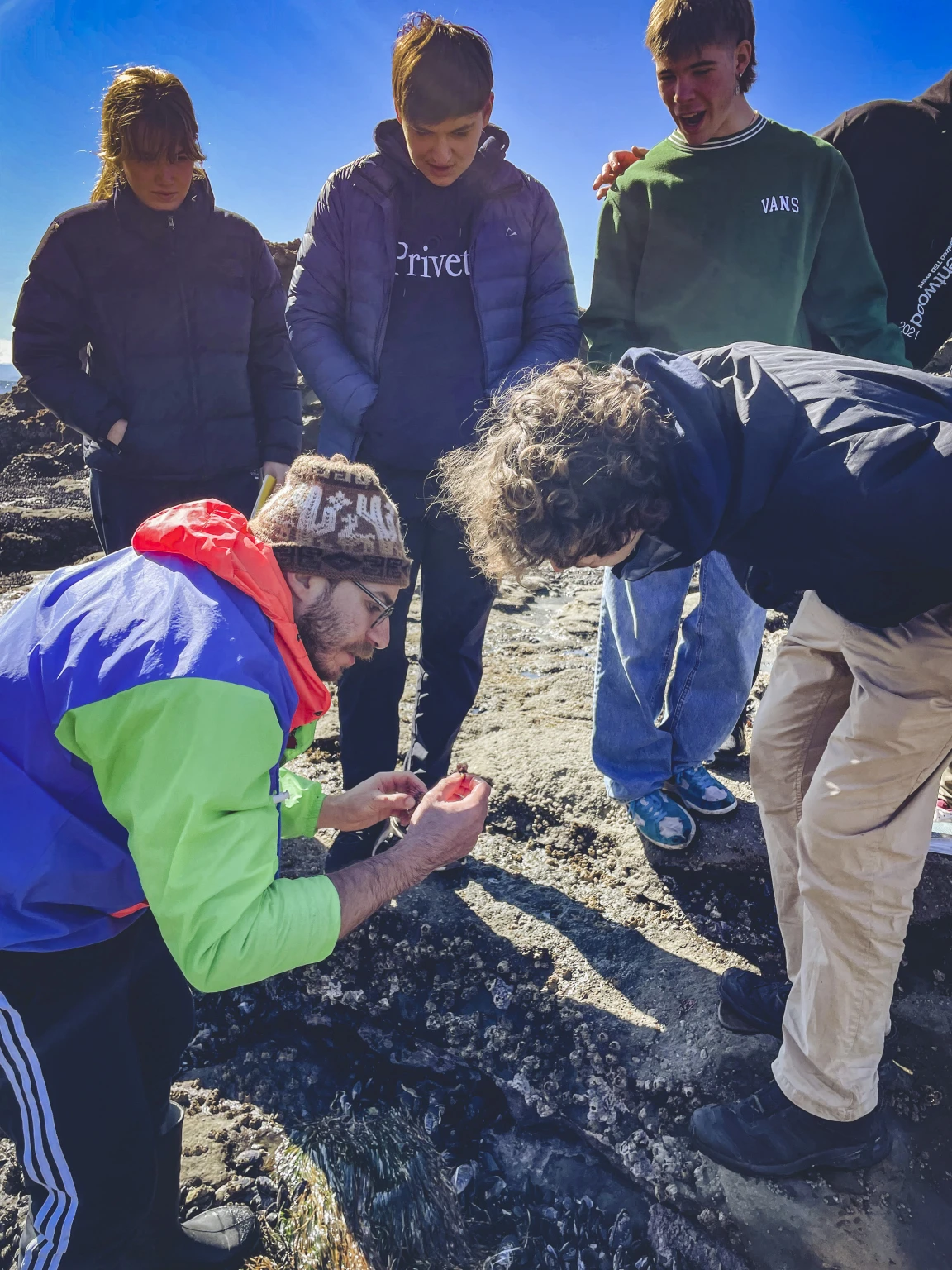 A private school academic teacher examining ocean biology with students