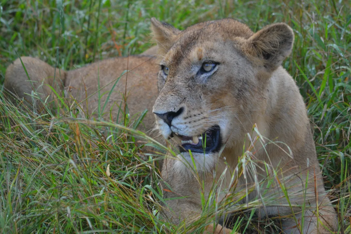 A photo from a Brentwood student trip