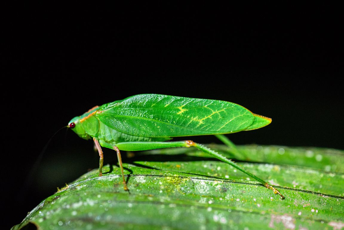 A photo from a Brentwood student trip