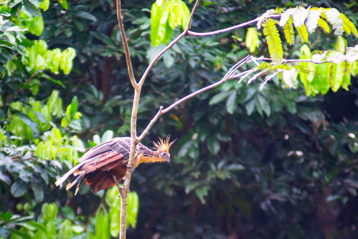 A photo from a Brentwood student trip