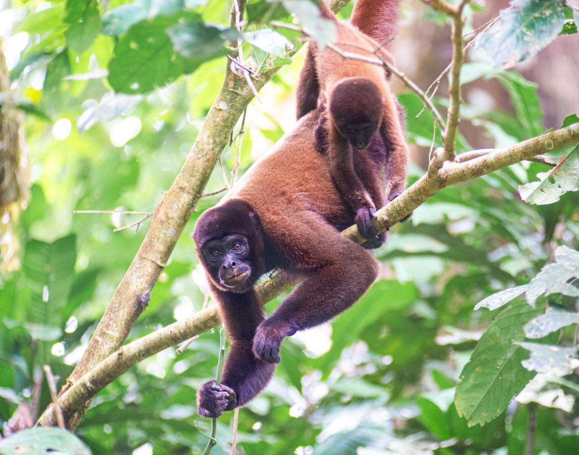 A photo from a Brentwood student trip
