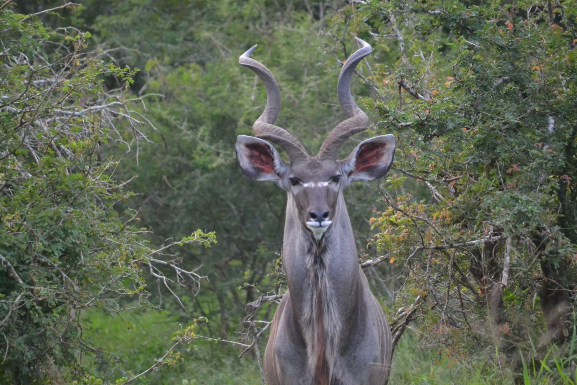 A photo from a Brentwood student trip