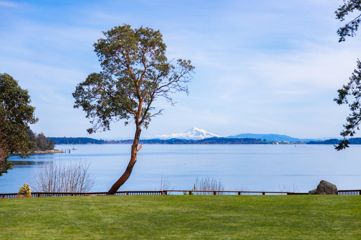 Ocean view across the water from Campbell Common lawn