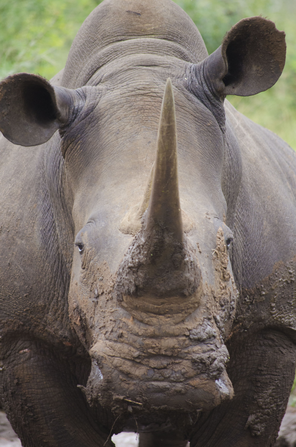 A photo from Brentwood's eSwatini student trip