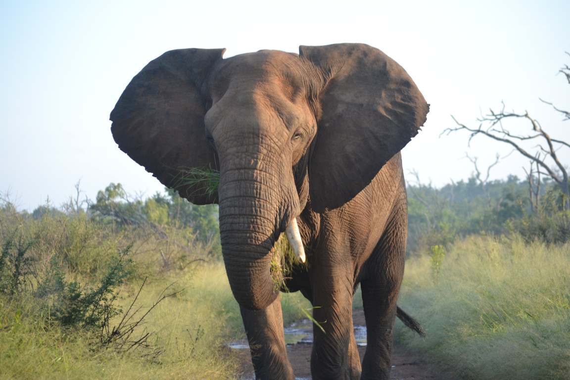 A photo from Brentwood's eSwatini student trip