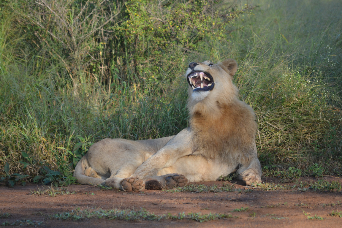 A photo from Brentwood's eSwatini student trip