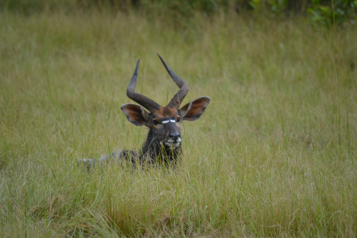 A photo from Brentwood's eSwatini student trip