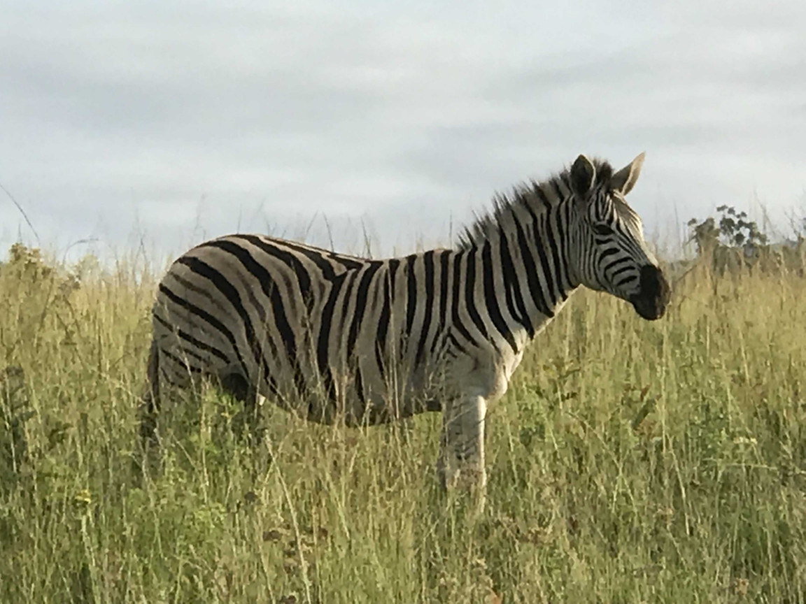 A photo from Brentwood's eSwatini student trip