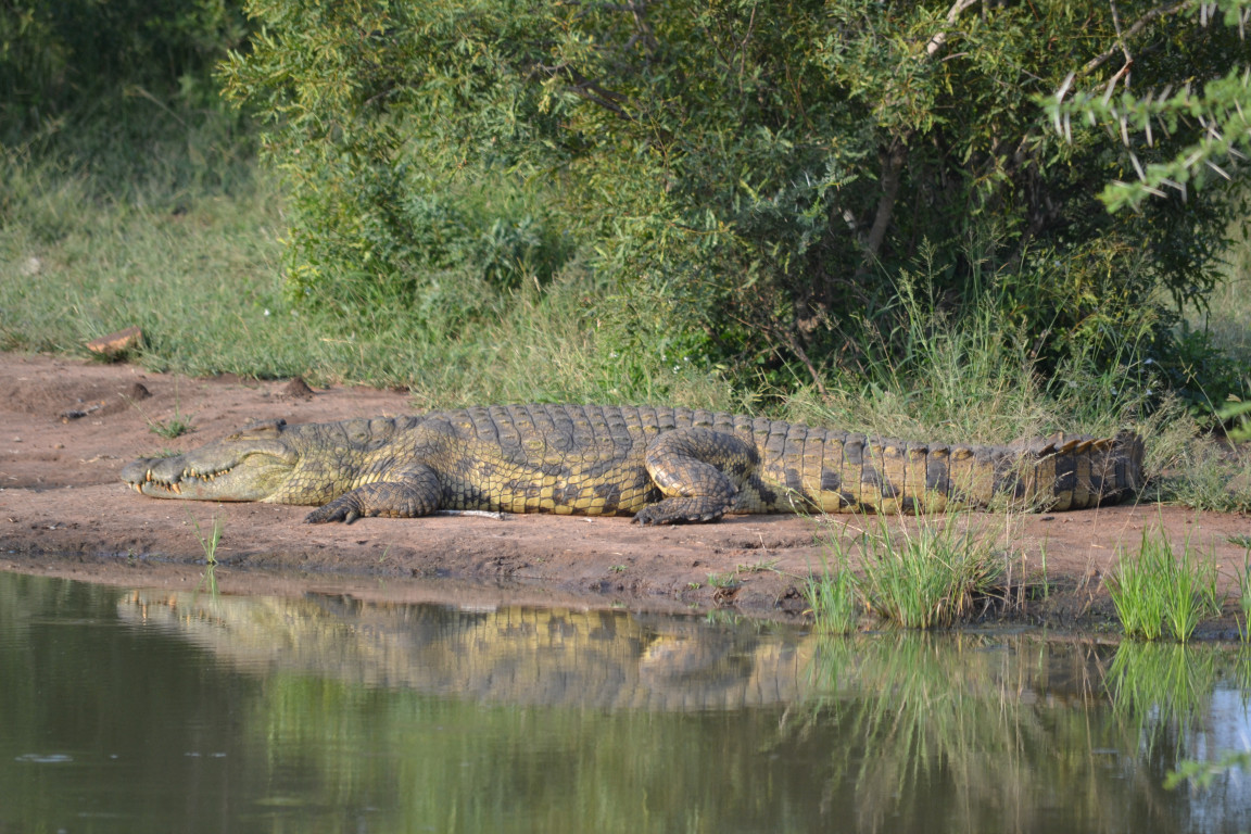 A photo from Brentwood's eSwatini student trip