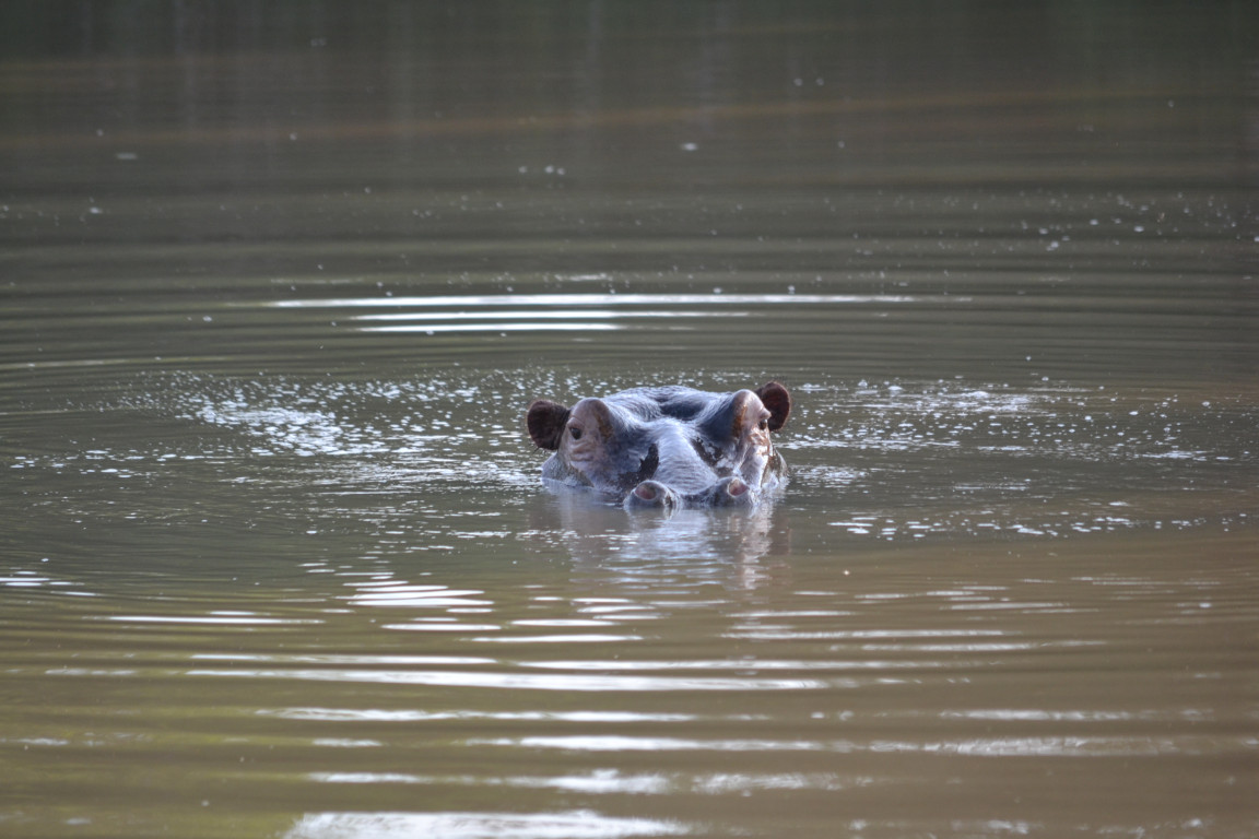 A photo from Brentwood's eSwatini student trip