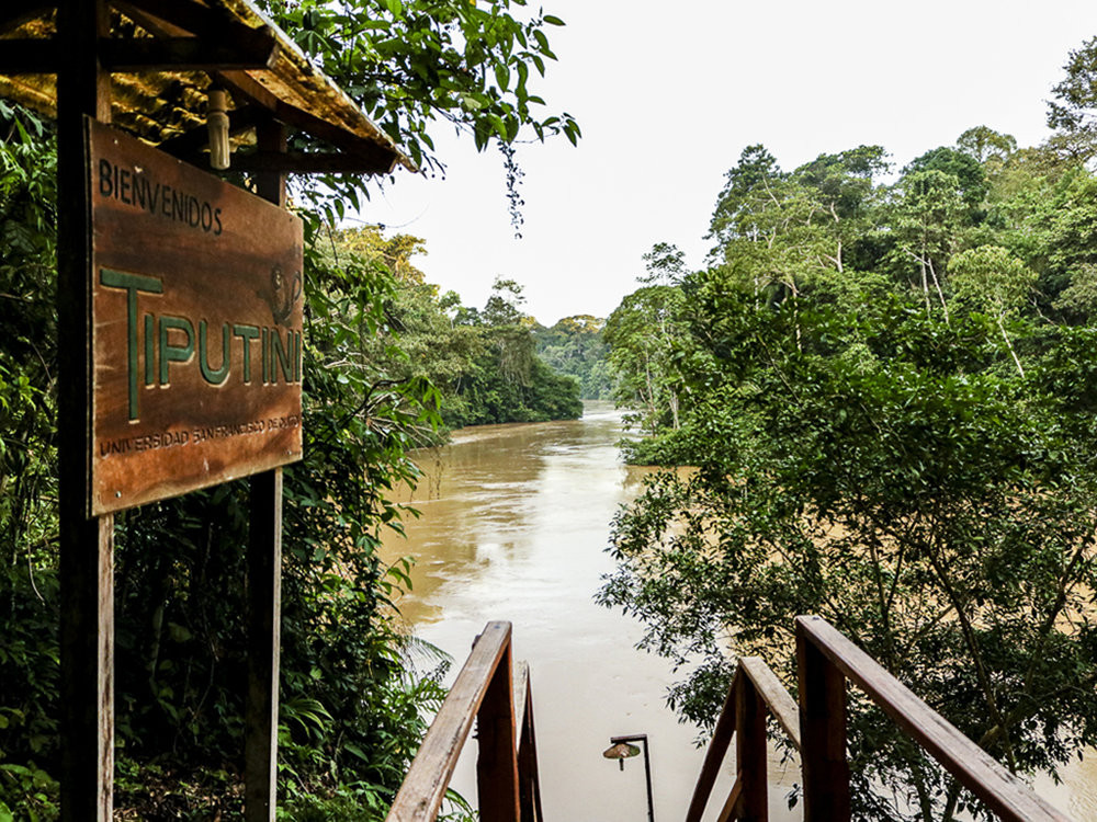 Ecuadorian Amazon Trip (Spring Break 2026)
