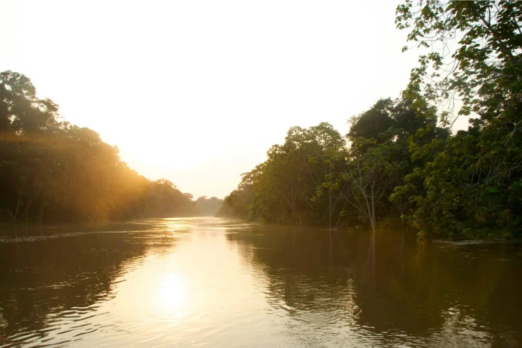A photo from Brentwood's Amazon student trip