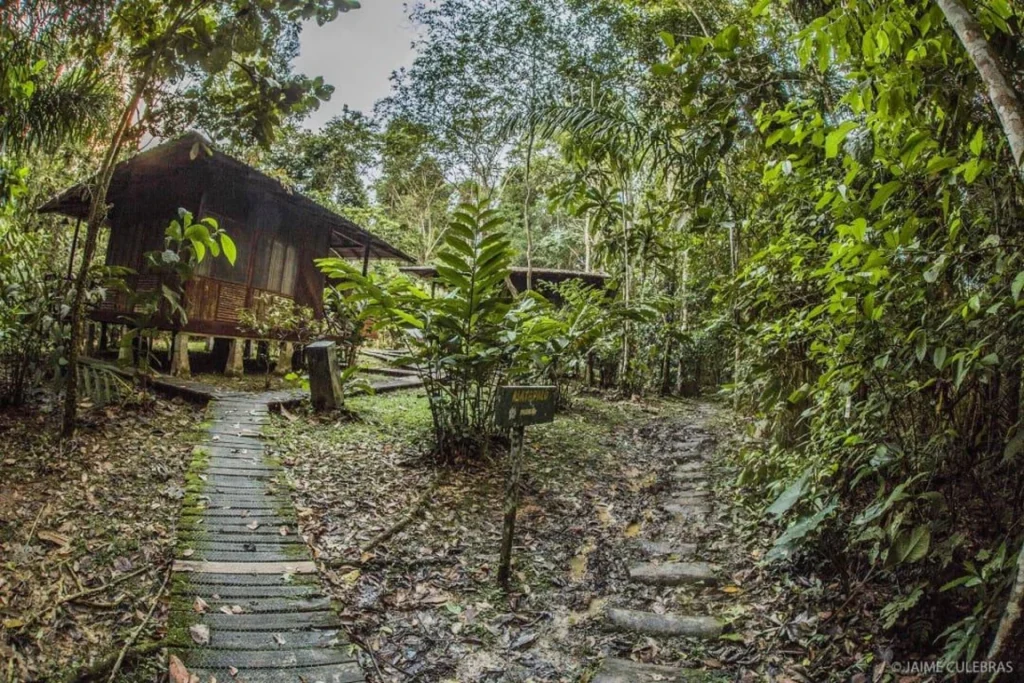 A photo from Brentwood's Amazon student trip