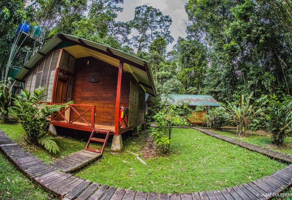 A photo from Brentwood's Amazon student trip