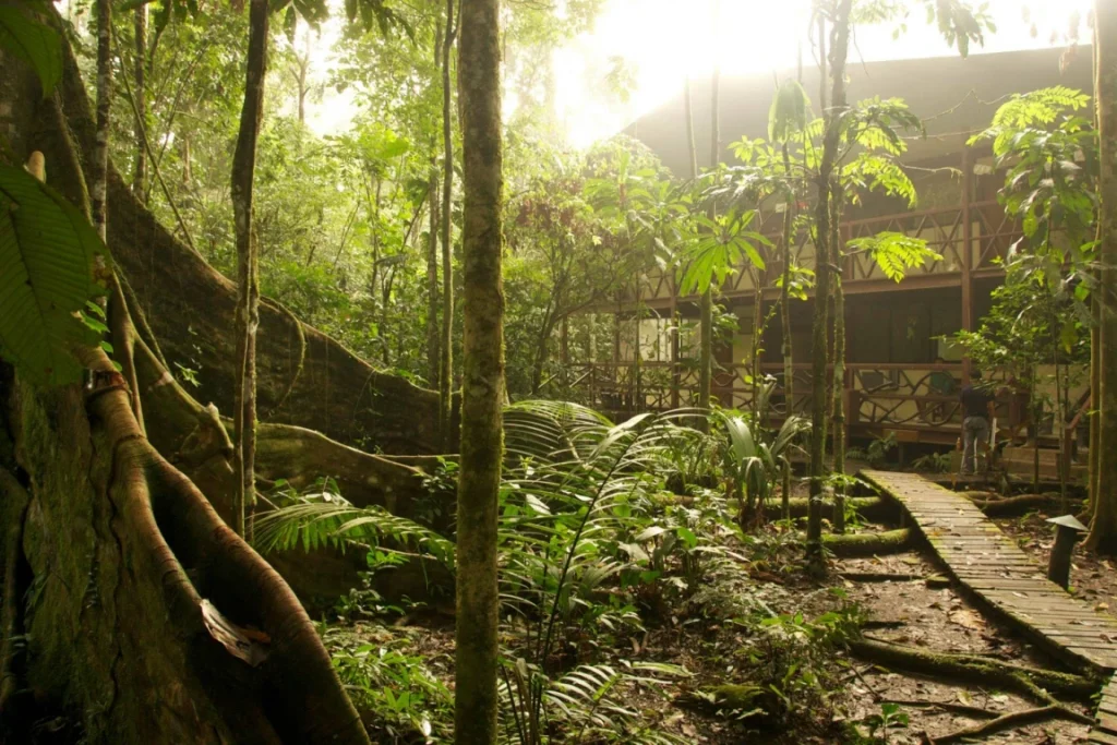 A photo from Brentwood's Amazon student trip