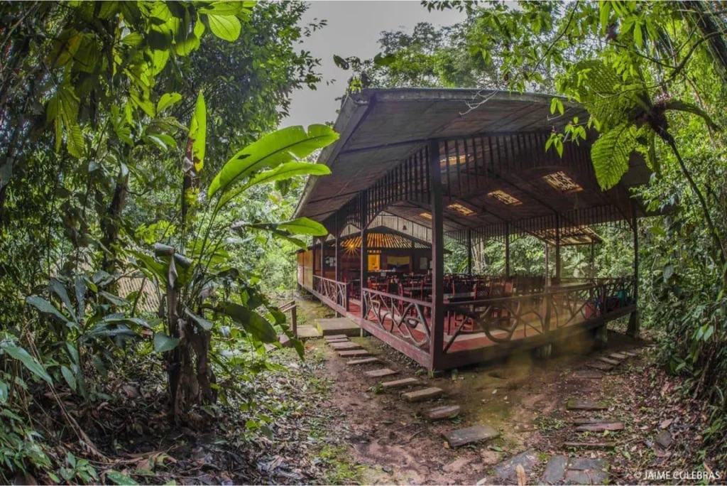A photo from Brentwood's Amazon student trip