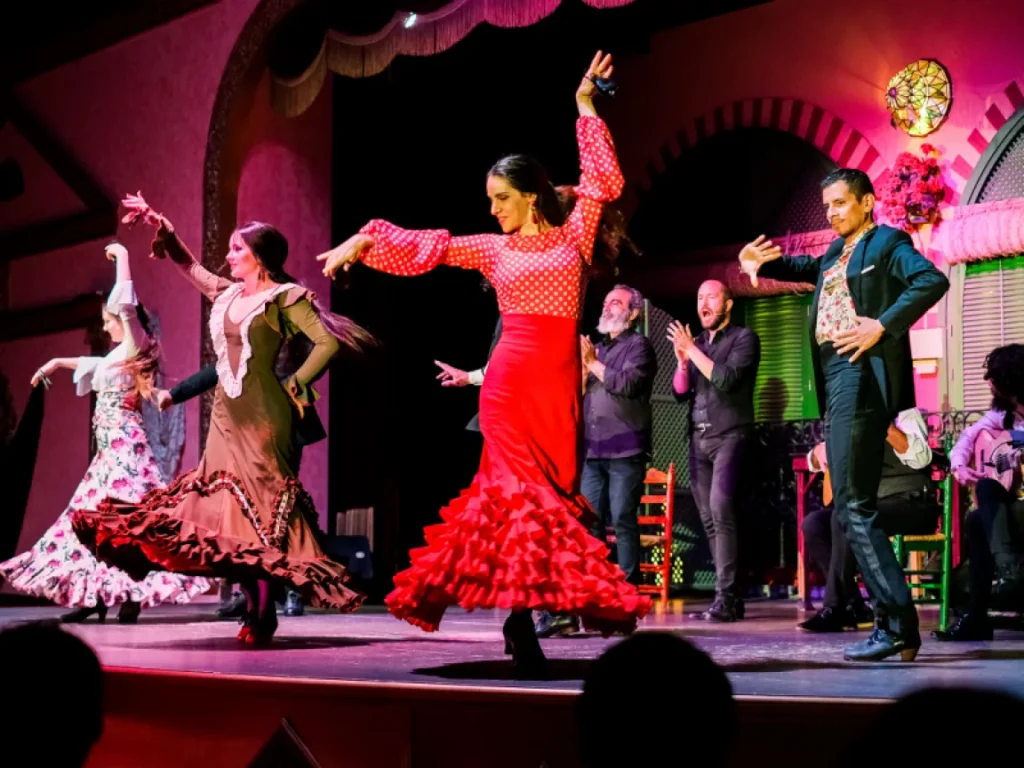 Flamenco Show