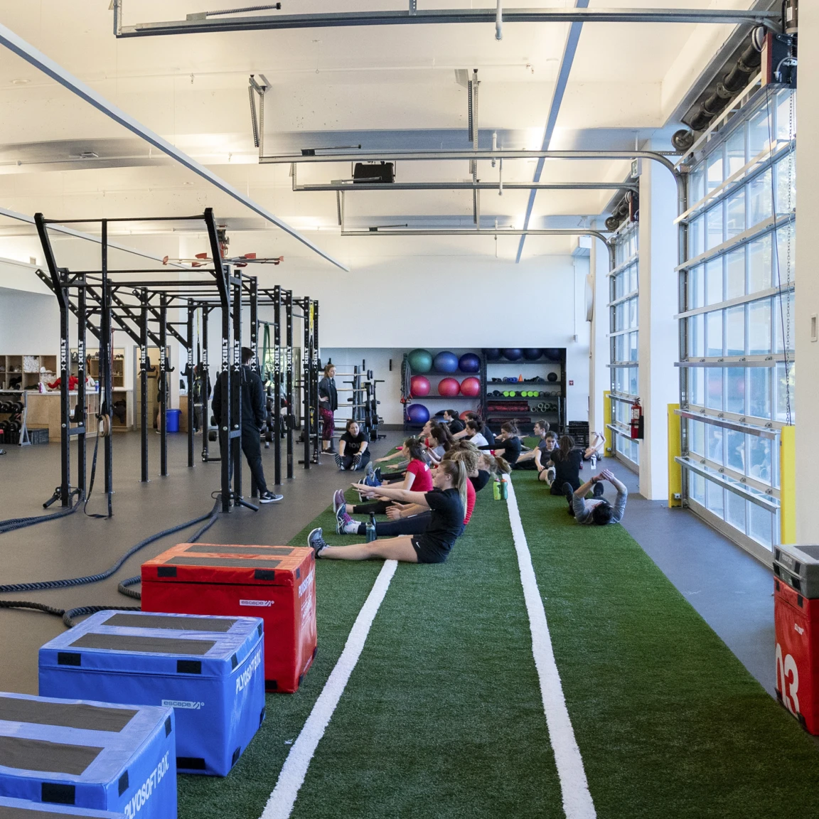 Students working out in the gym