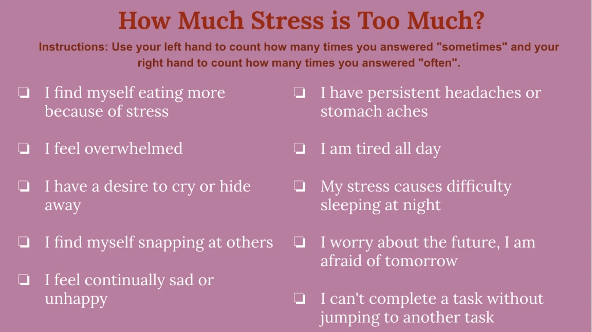 A stress self-assessment checklist titled How Much Stress is Too Much