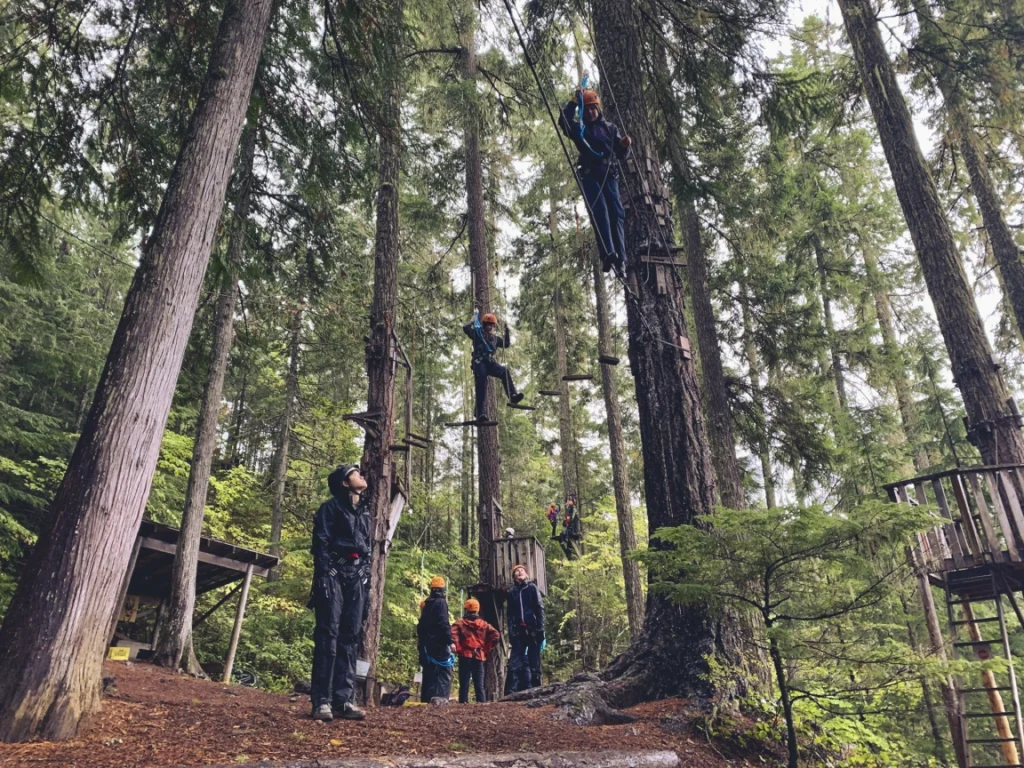 high ropes course with students